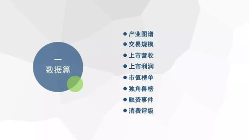 2018年度中國生活服務電商市場數(shù)據(jù)監(jiān)測報告發(fā)布 行業(yè)深度調(diào)整與高質(zhì)量發(fā)展并存